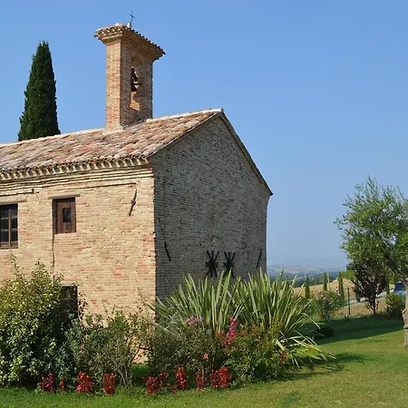 Templari Nelle Marche * Osimo